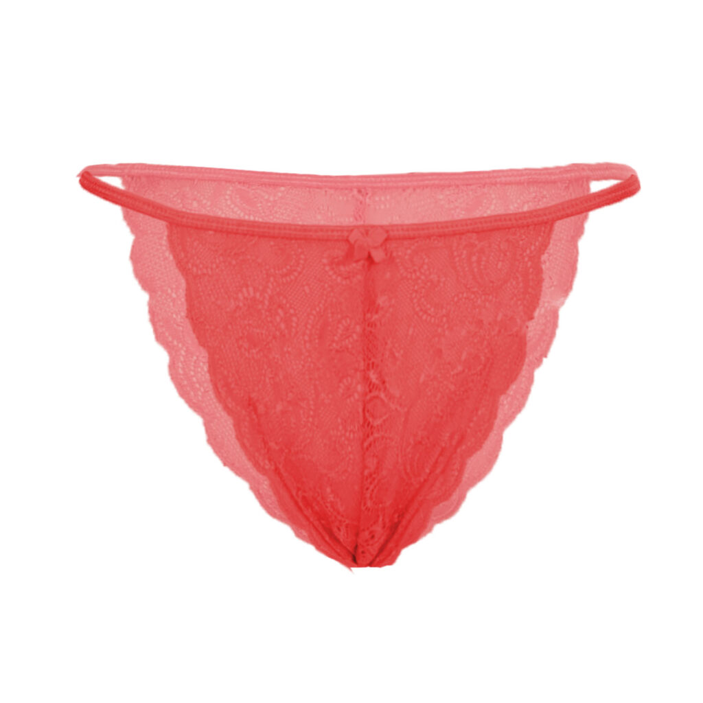 Women S Bikini Panty Underwear Honyie